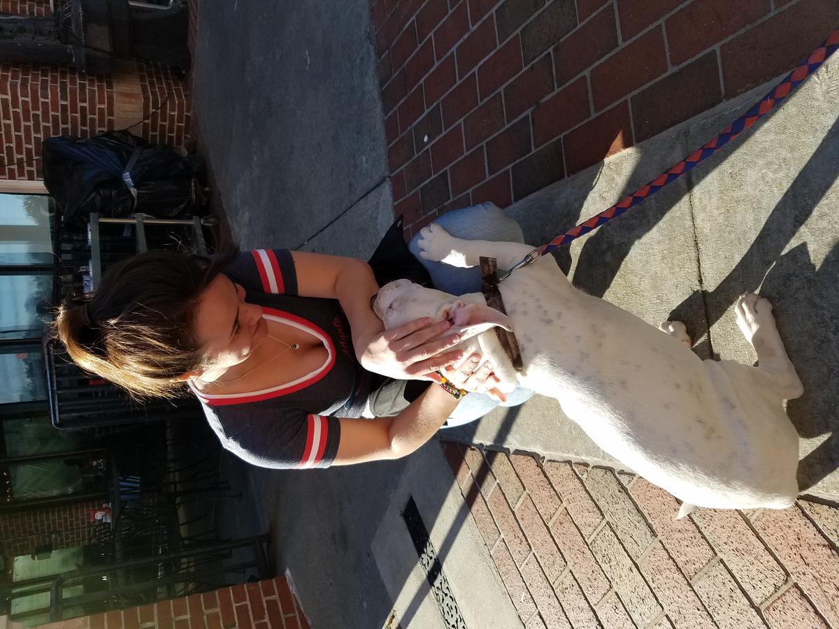 St Angelo's Pizza restaurant view 5