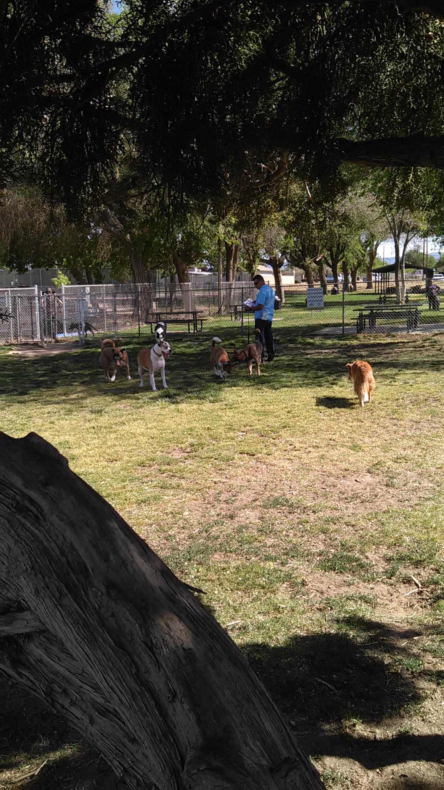 Hesperia Dog Park ⋆ BringFido