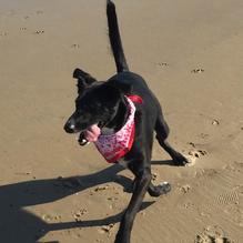 Clam Box restaurant view 2