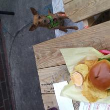 Cool Beans restaurant view 1