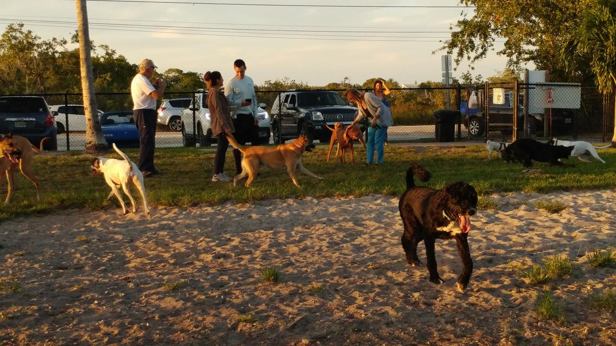 Dog Friendly Big Pine Key, FL