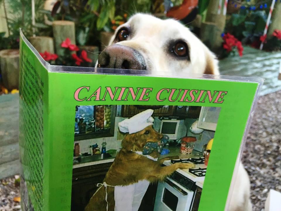 Sweet Sage Cafe restaurant view 10