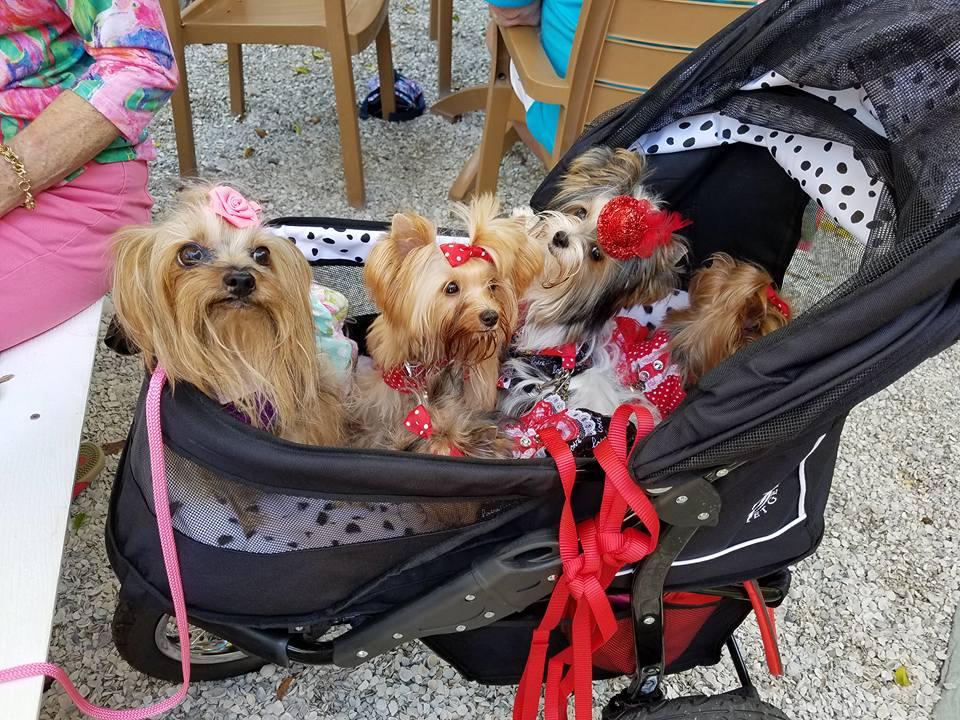 Sweet Sage Cafe restaurant view 13