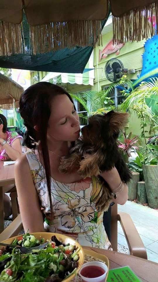 Sweet Sage Cafe restaurant view 9