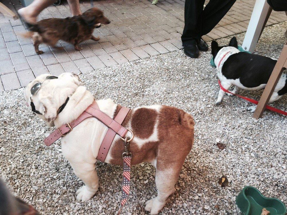 Sweet Sage Cafe restaurant view 12