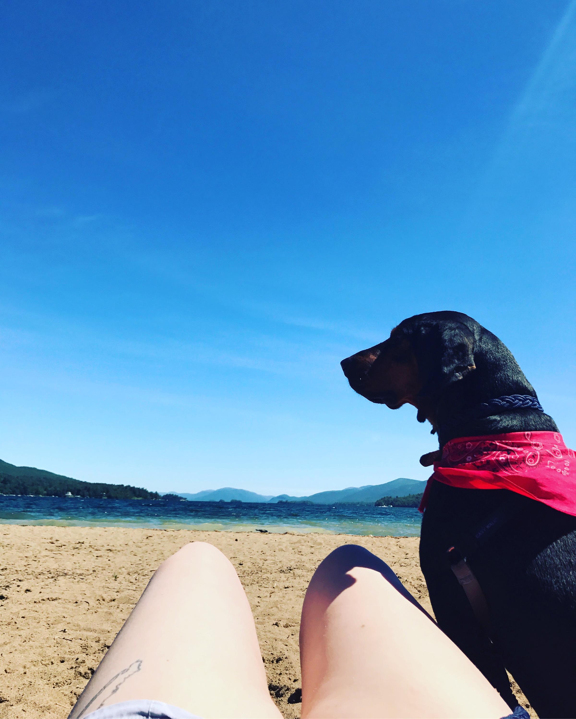 Dog Beach Lake George ⋆ BringFido