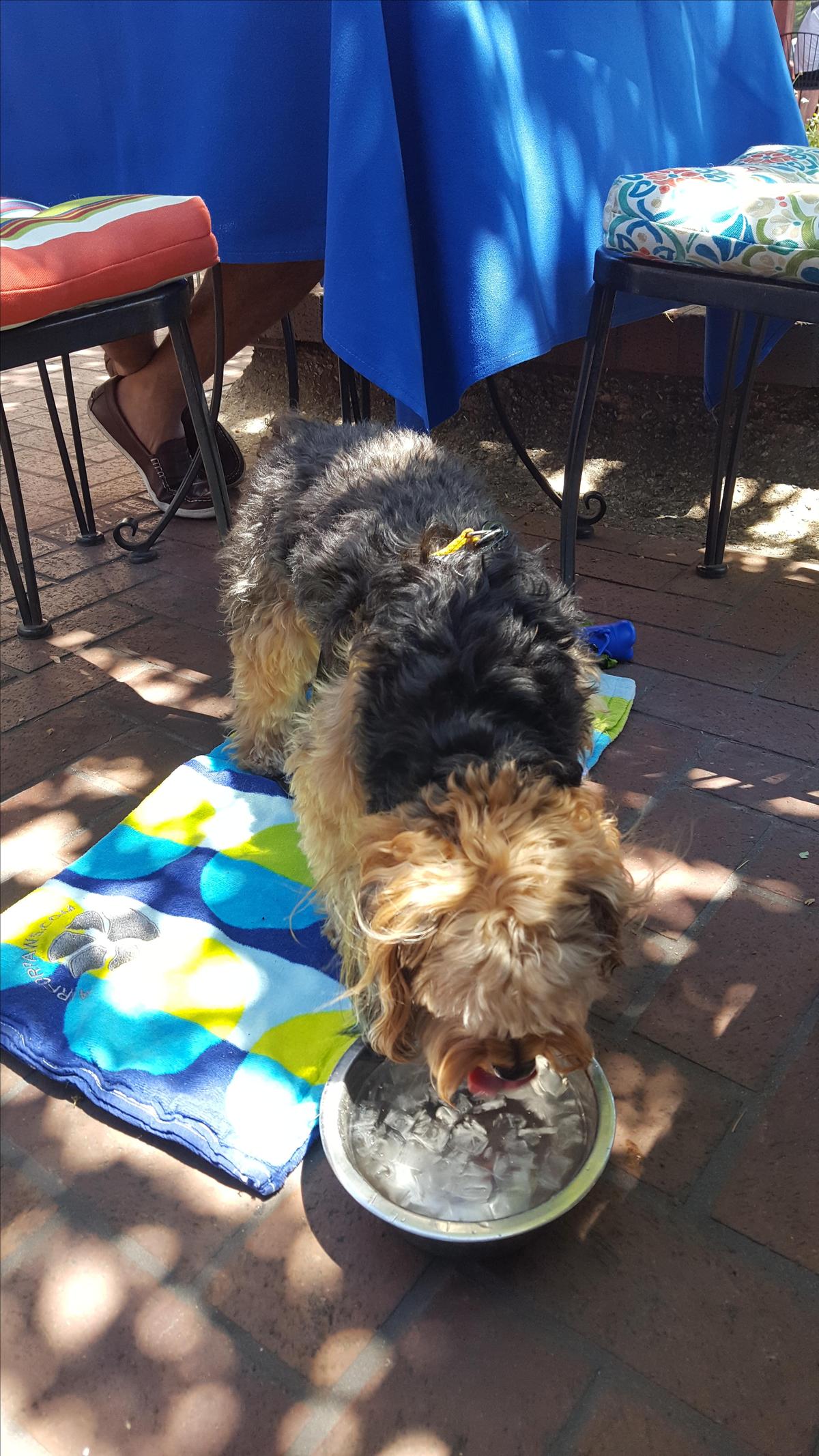 Rosy's at the Beach restaurant view 1