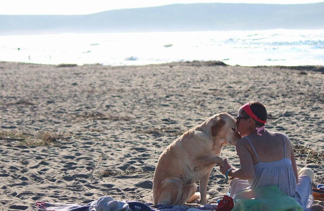 Dog Friendly Dillon Beach, CA - BringFido