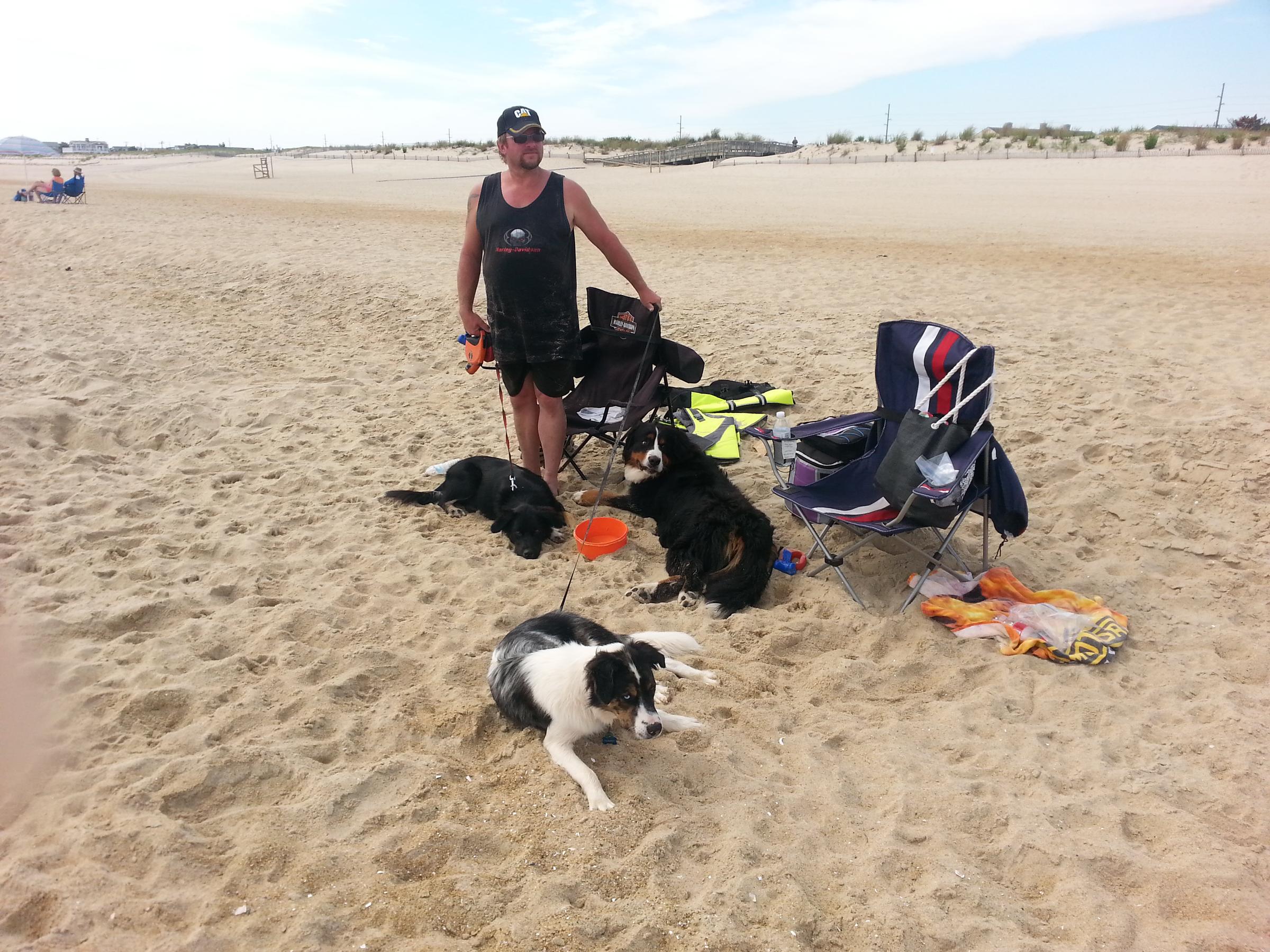 are dogs allowed at fenwick island state park