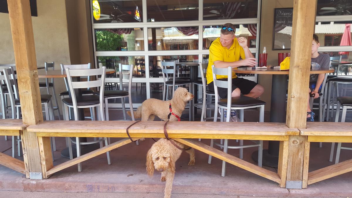 Mecca Bar & Grill restaurant view 2