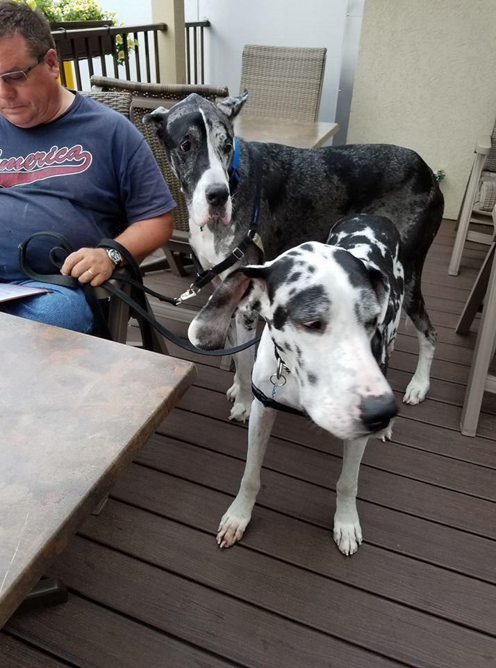 Manhattan's American Bar & Grill restaurant view 3