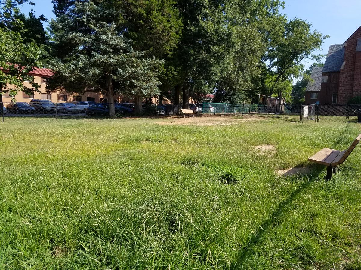 Phideaux field dog park