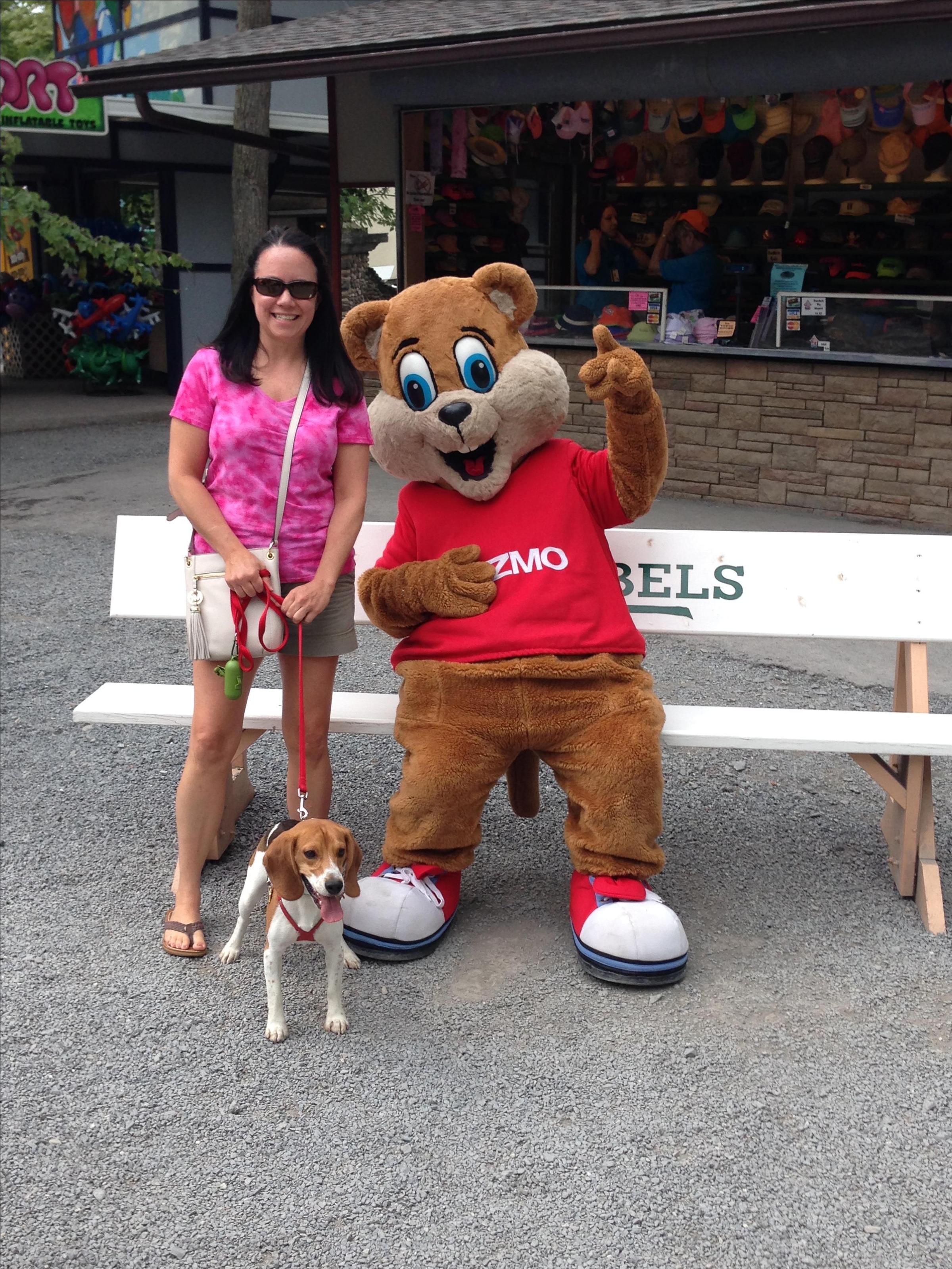 does knoebels allow dogs