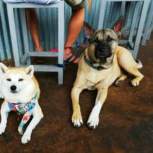 Rick's Reef restaurant view 5