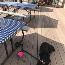 Pat's Pizza restaurant view 1