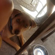 Cervecería at The Shack restaurant view 4