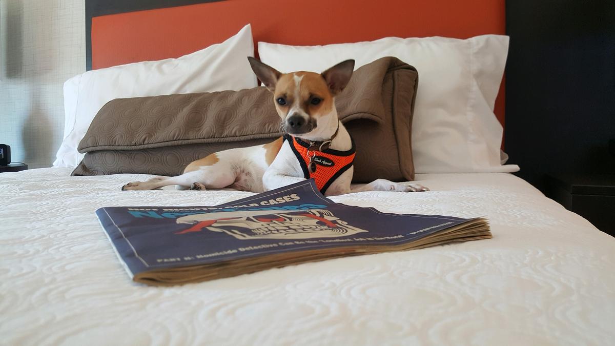 Diego - Home2Suites - Glendale, AZ