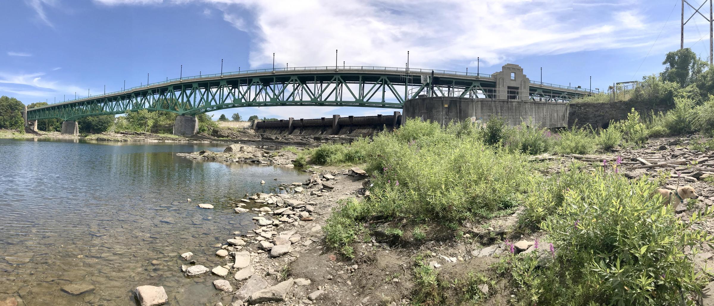 GillMontague Bridge ⋆ BringFido