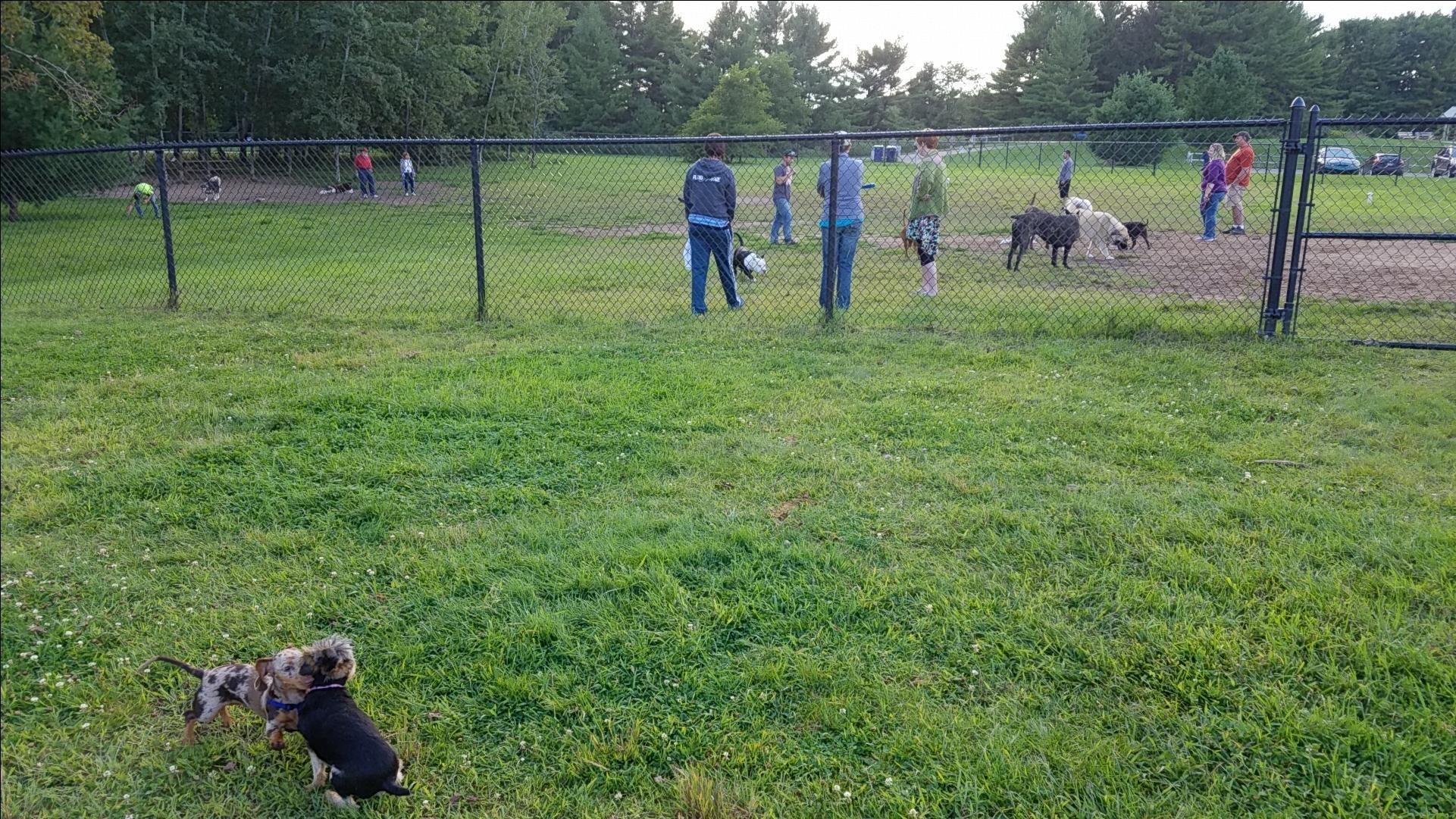 Silver Lake Dog Park