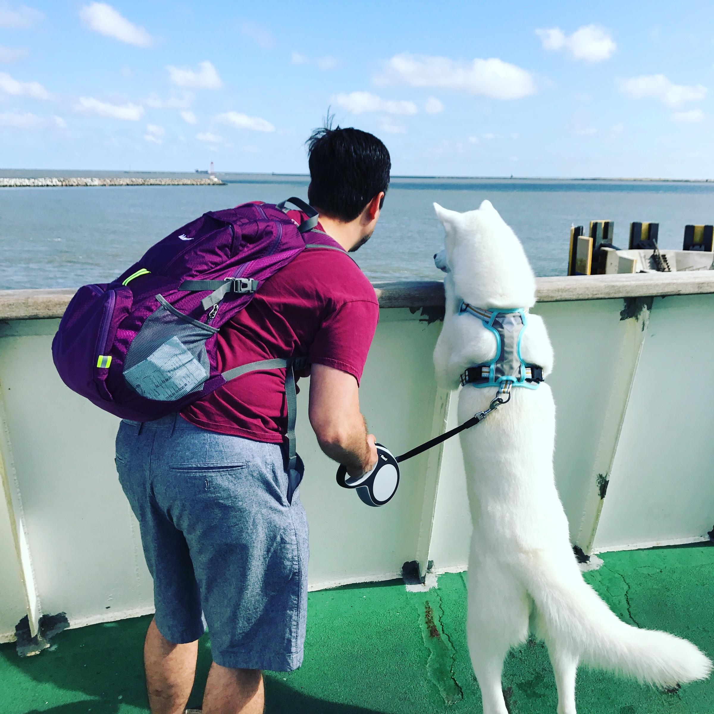 are dogs allowed on the cape may lewes ferry