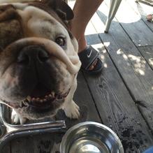 Peter Ott's on the Water restaurant view 7