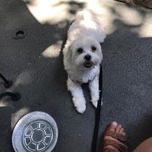 Best Italian restaurant view 4