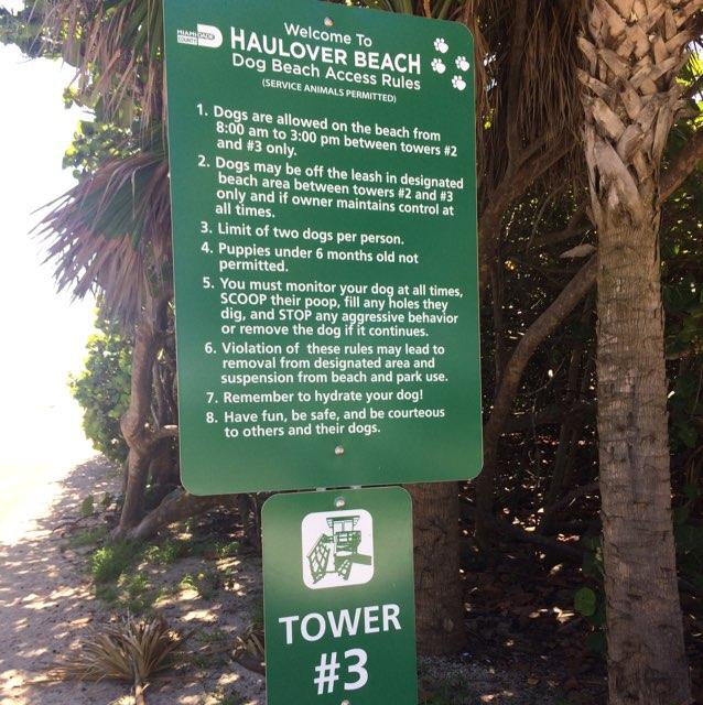 are dogs allowed at haulover beach