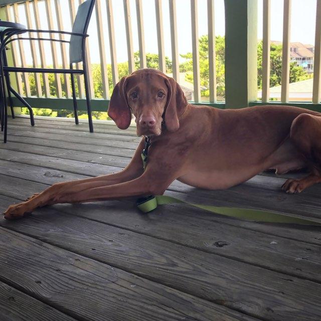 South Beach Takeout, Catering, and Delivery restaurant view 2