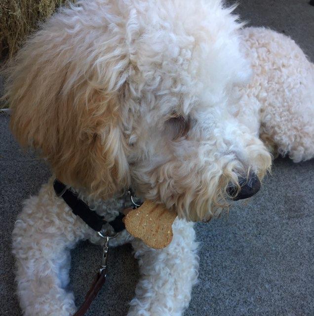 Smuggler's Landing restaurant view 1