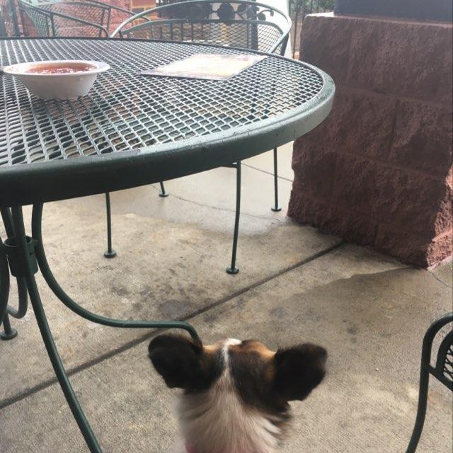 Pancho Villa Mexican Restaurant restaurant view 1