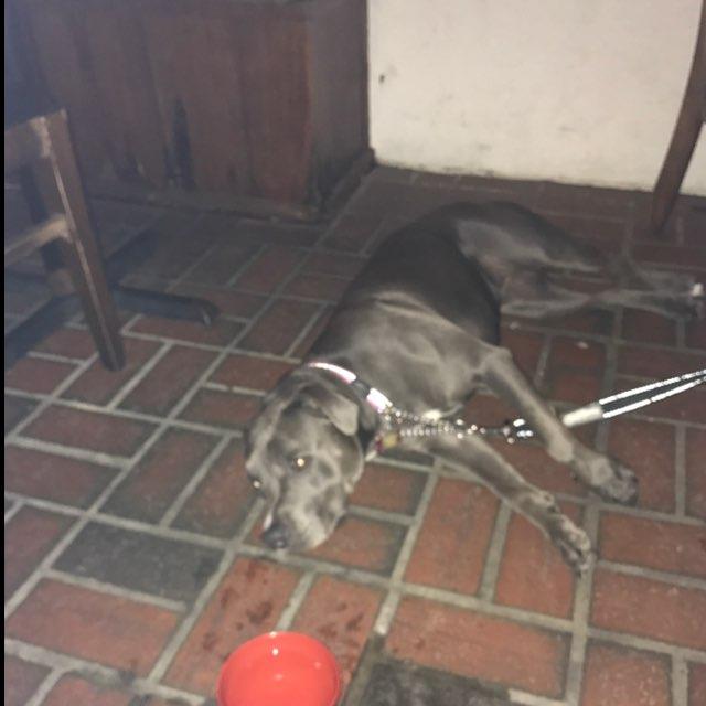 Camille's restaurant view 2