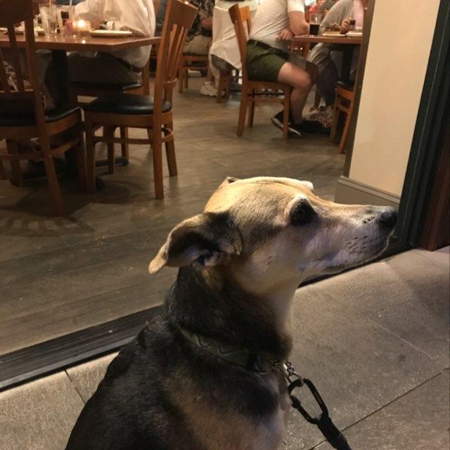 Brewer’s Alley Restaurant & Brewery restaurant view 5