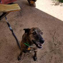 Kix on 66 restaurant view 5