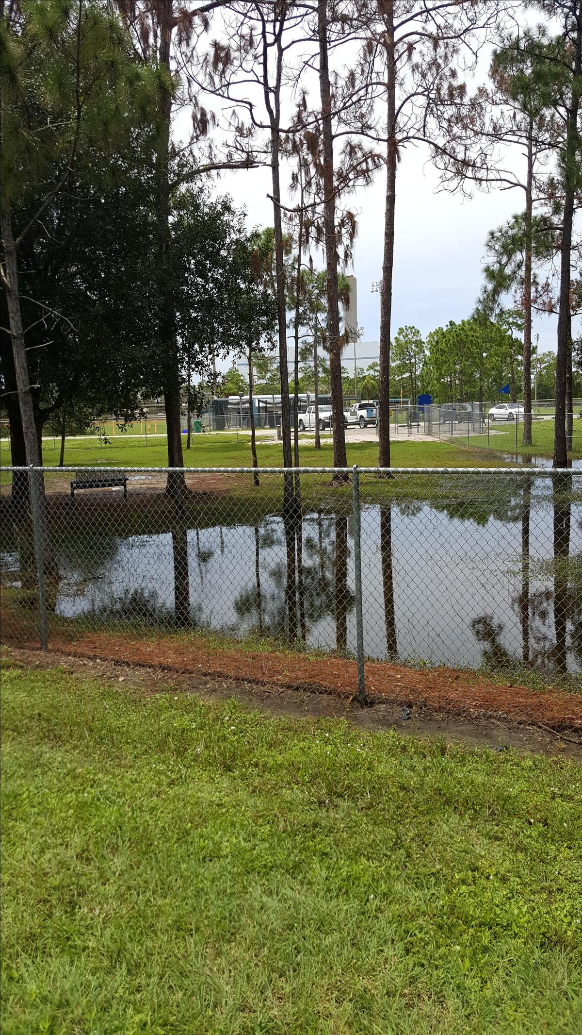 Dog Friendly Fort Myers, FL