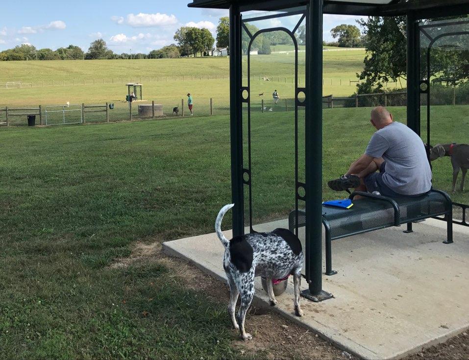 Nutro dog park store