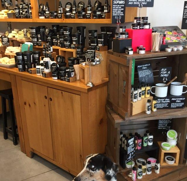 Dog Friendly Fresno, CA