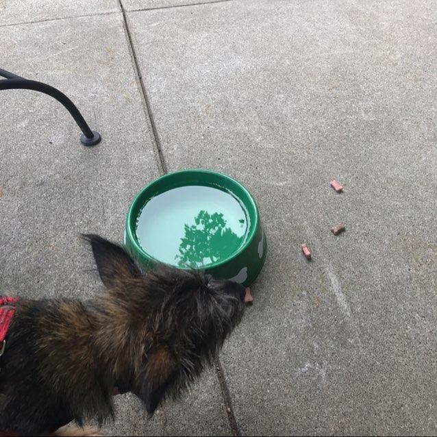 Plum Delicious restaurant view 2