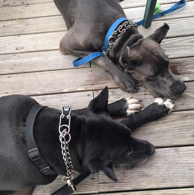 Harbor View Restaurant restaurant view 10