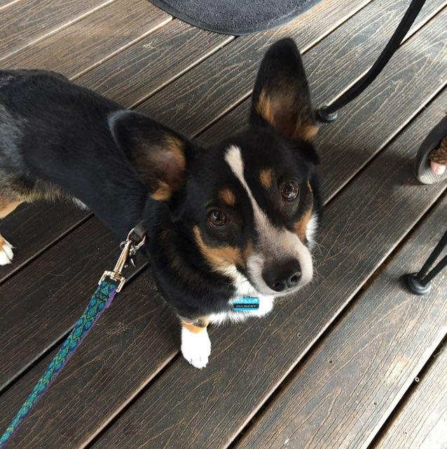 Westside Cafe restaurant view 2