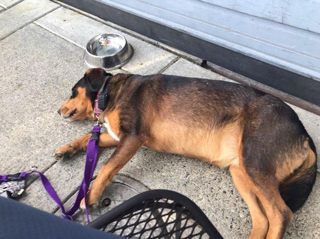 Redmond's Bar & Grill restaurant view 1