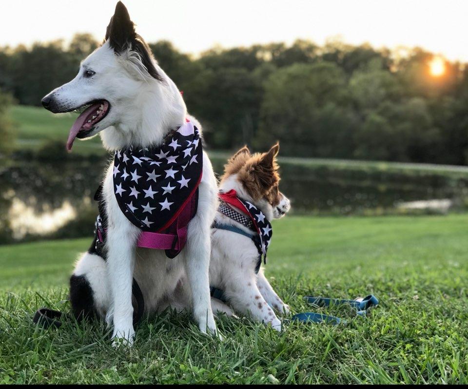 Farmstand Market & Cafe restaurant view 2