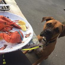 McLaughlin's Takeout restaurant view 3