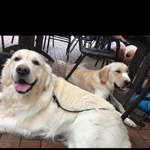 Pastry Art Cafe restaurant view 3