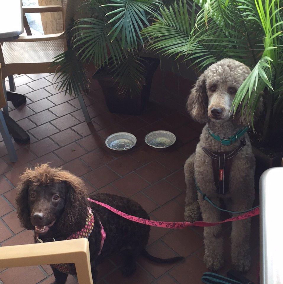 Villa Rifici restaurant view 2