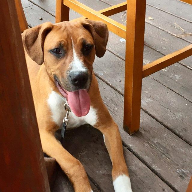 Up the Creek Pub & Grill restaurant view 9