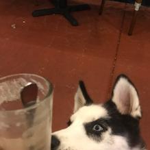 Brian Boru restaurant view 2