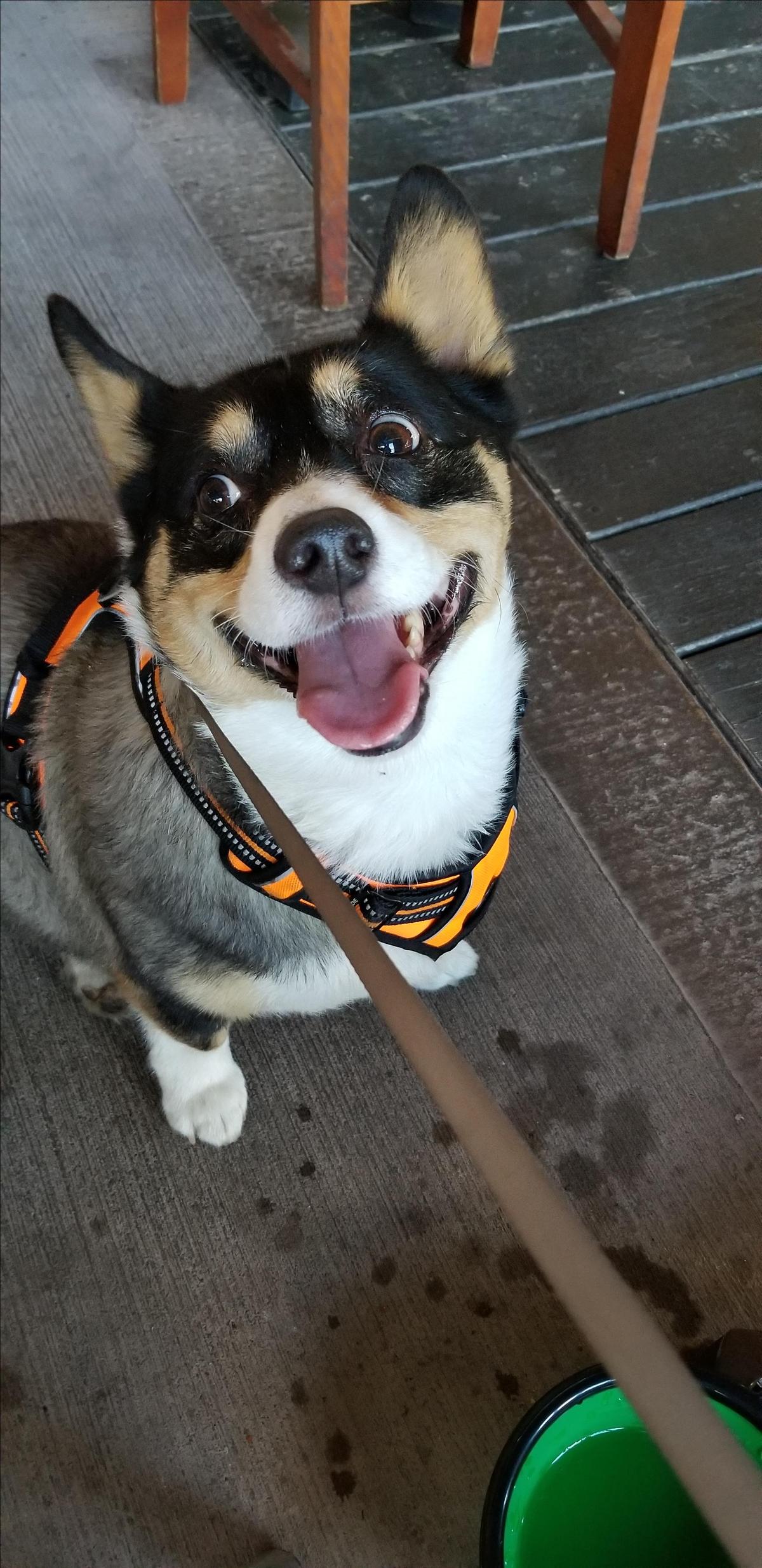 Apple Valley Kitchen Cafe restaurant view 7