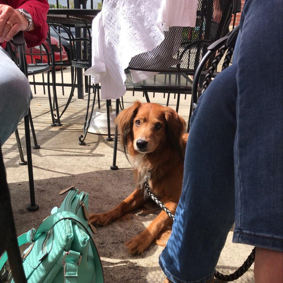 Mangia Ristorante & Pizzeria restaurant view 1