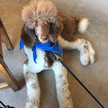 Fish Gaucho restaurant view 2