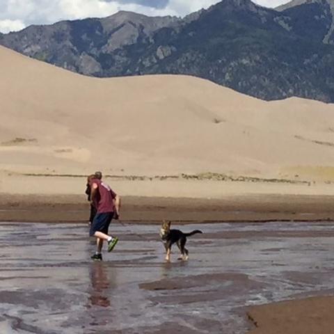 Deadhorse State Park Can I Bring Dog Deadhorse State Park Can I Bring Dog